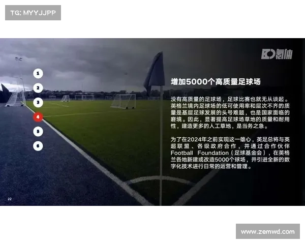 揭秘纳英戈兰未透露原因背后的神秘故事与未知动机